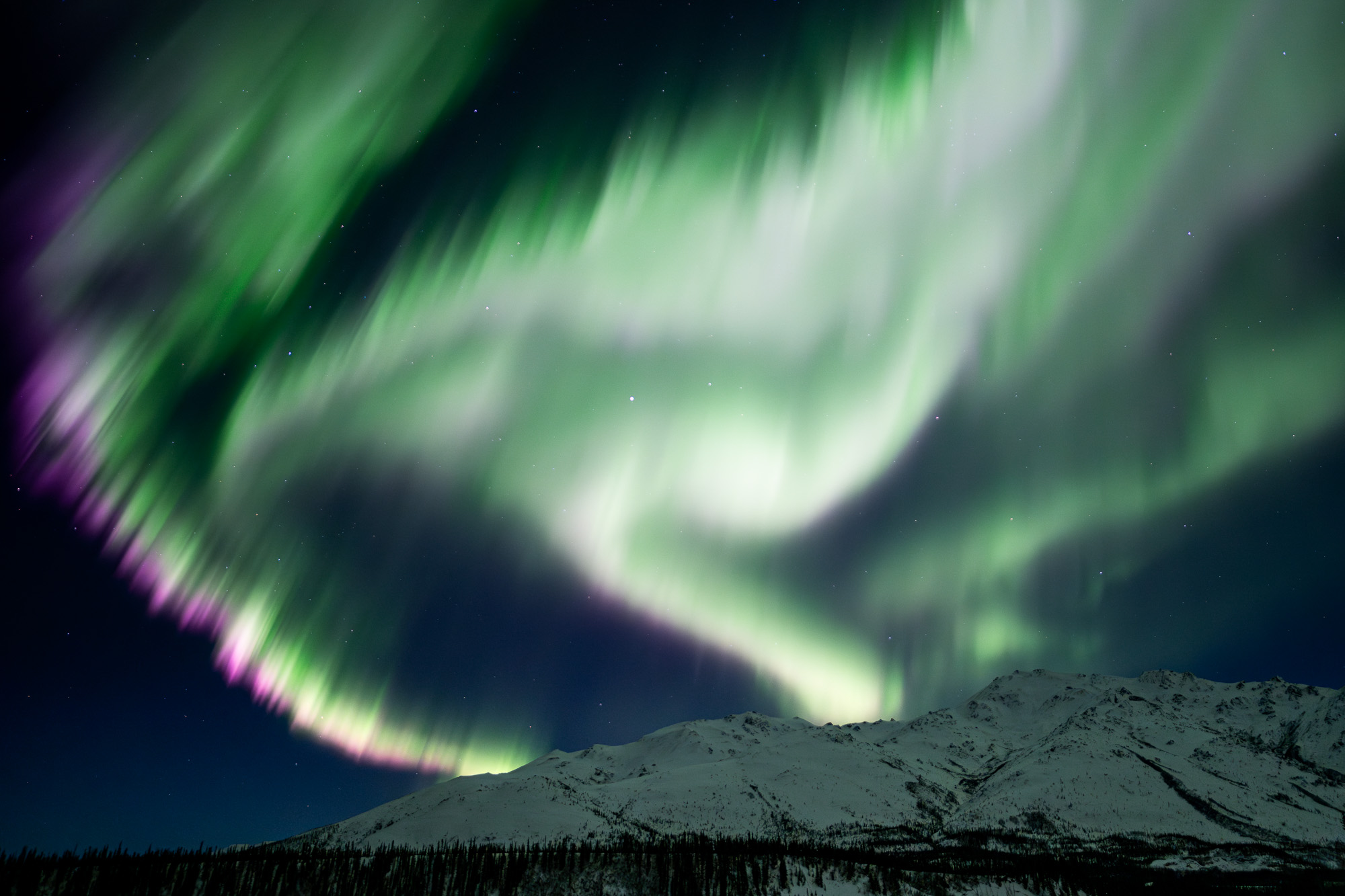 Purple auroras above mountains in Alaska